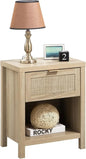 Set of 2 Farmhouse Night Stand with Drawer and Storage Shelf