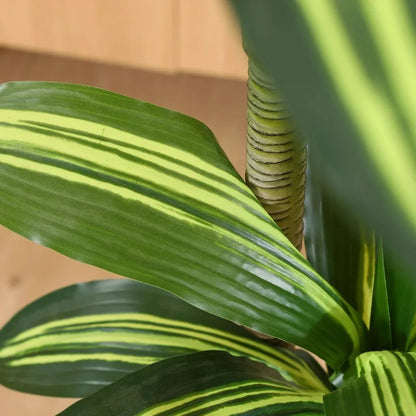 Fake Dracaena Tree in Black Plastic Pot