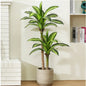 Fake Dracaena Tree in Black Plastic Pot